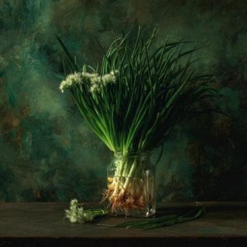 韭菜高效種植技巧：科學管理增產量，提升品質與壽命