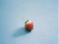 凌晨四點的直播間：李姐與新鮮草莓的故事