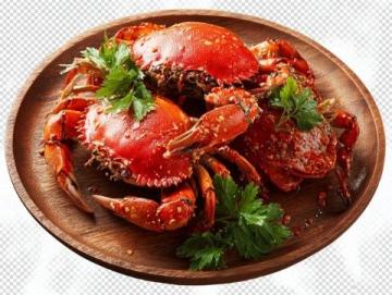青島最佳海鮮市場推薦：新鮮美味一站購齊