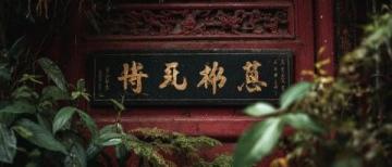 
佛山后花園荷城美食美景游攻略：暢享美食娛樂之旅
