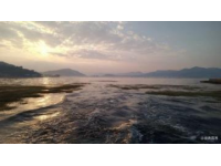 廈門中秋一日游攻略：盡享鷺島風情