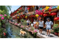 國內熱門旅游城市精選：成都、麗江、呼和浩特等，體驗美食與文化之旅