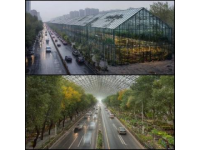 廣州春季必游：2-3月賞花地圖，鎖定最美時光！