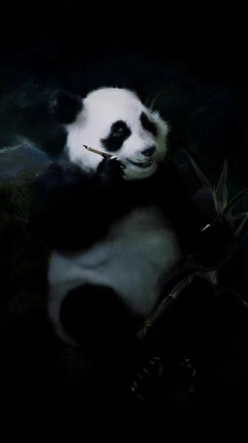 廣州動物園:花一杯奶茶的錢看400多種動物,性價比超高親子游好去處
