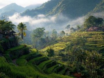 東方明珠巴厘島：印度尼西亞的自然奇跡與文化盛宴