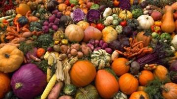 秋季養(yǎng)生食譜:六大應(yīng)季食材,助力健康飲食