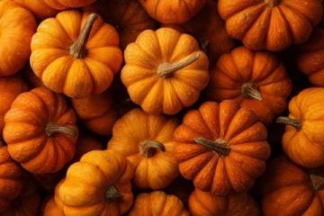 秋季養(yǎng)生食譜:六大應(yīng)季食材,助力健康飲食