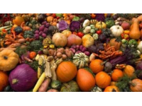 秋季養(yǎng)生食譜：六大應季食材，助力健康飲食