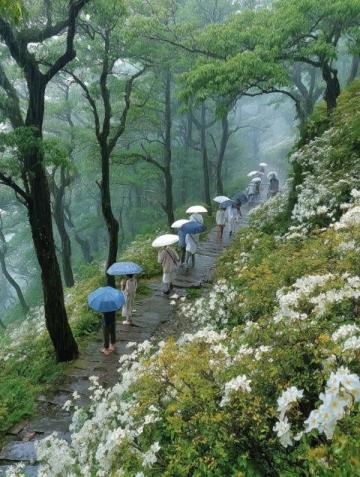 五一暢游東林蓮華境:漫步佛下美景,體驗非凡狂歡之旅