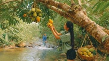 春日美食獵人出動：探尋季節美味與文化交融之旅