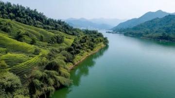 探索西雙版納：融創旅游度假區的自然與歡樂之旅