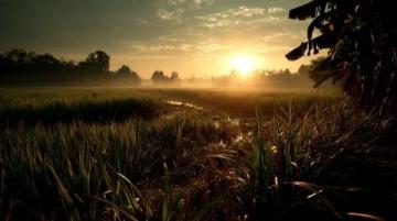 探索西雙版納:融創旅游度假區的自然與歡樂之旅