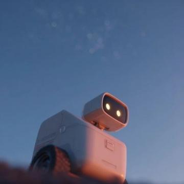 2025早春旅行記:我們的第三日自駕歷險(xiǎn)