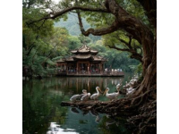 親子游必打卡東莞華陽湖生態(tài)公園超詳細(xì)游玩攻略