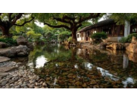 趵突泉：天下第一泉的魅力