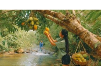 春日美食獵人出動：探尋季節(jié)美味與文化交融之旅