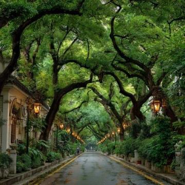 廈門三天游攻略:鼓浪嶼、植物園與環島路行程規劃