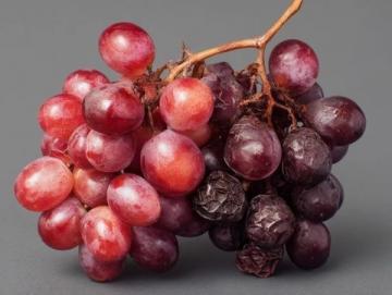 用葡萄的好滋味,多吃葡萄的健康秘密