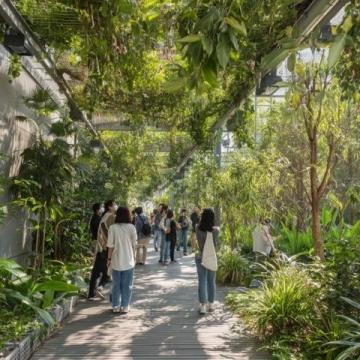 探秘南寧:四季花開的綠肺城市與地道美食風(fēng)情