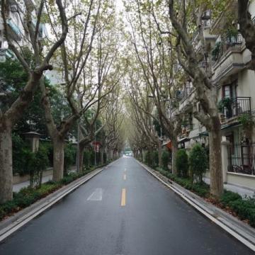 自六年前來長沙定居,有網友曾給我留言說,長沙只有冬夏兩季.