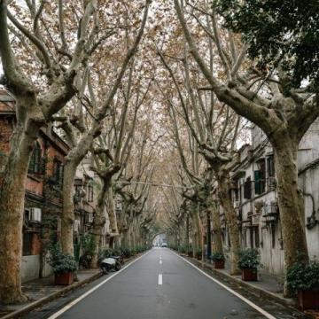 探秘南寧:四季花開的綠肺城市與地道美食風(fēng)情