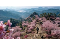 雙廊沙溪大理最美鄉(xiāng)鎮(zhèn)春季踏青路線