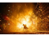 長沙的春天，煙花點綴著城市的幸福