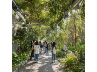 探秘南寧：四季花開的綠肺城市與地道美食風(fēng)情