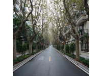 自六年前來長沙定居,有網(wǎng)友曾給我留言說,長沙只有冬夏兩季.