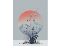 大理之旅：風花雪月與美食的美好碰撞