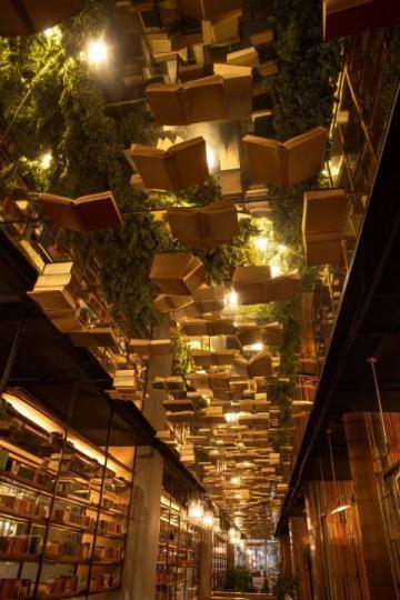 愛書人來吉隆坡就為迷戀著的迷宮書店——BookXcess RexKL。