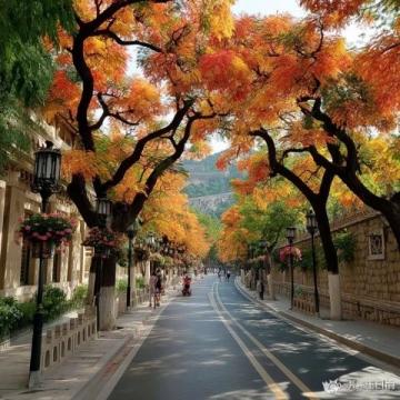 山東青島旅游注意事項(xiàng)(青島旅游注意事項(xiàng))