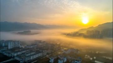 增城與南沙：哪個(gè)是你的最佳選擇？