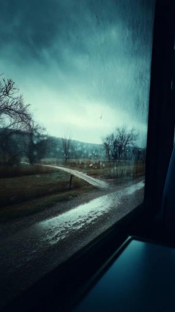 告別東北行:風(fēng)雨無阻的歸途與未完的心愿