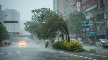 告別東北行:風(fēng)雨無阻的歸途與未完的心愿