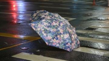 告別東北行:風(fēng)雨無阻的歸途與未完的心愿