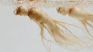 揭秘紅參制作工藝與常見知識