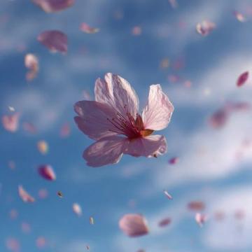 百花齊放共傳戲比天大的精神