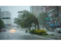 告別東北行：風雨無阻的歸途與未完的心愿