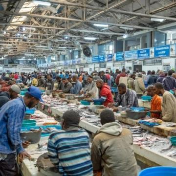 探索海洋美味:一次全球海鮮饕餮之旅