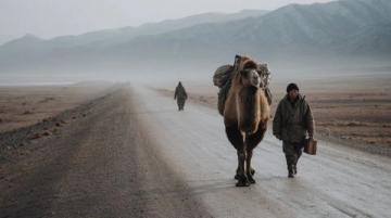 寧夏中衛(wèi)之行