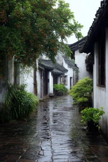 漫步在邵伯古鎮青石板路上，古運河的水汽裹著油燜蒜香撲面而來,轉過朱漆斑駁的牌坊