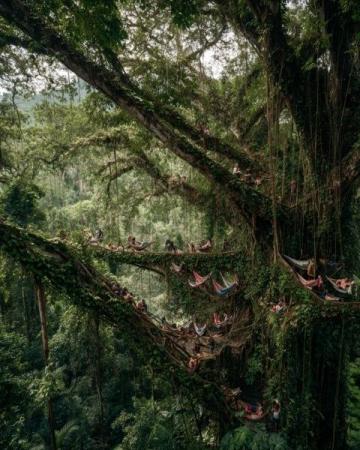 解鎖砂拉越雨林音樂節(jié)全攻略世界級(jí)音樂盛宴不容錯(cuò)過!