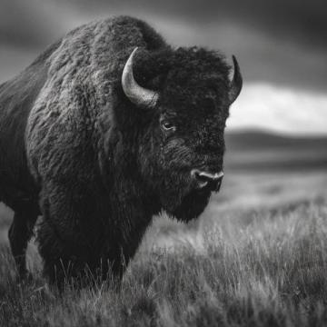 黃石有什么好吃的好玩的？不要門票的景點推薦！