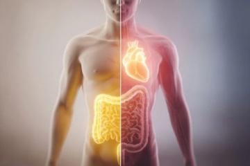 順應(yīng)夏季特點,防暑、祛濕、護脾胃是養(yǎng)生的關(guān)鍵