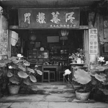 月山鎮“三點三”美食街：下午茶必打卡地，地道開平味！