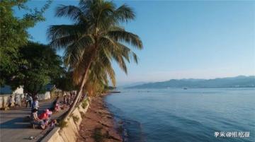 深度探索廈門:必去景點(diǎn)、美食及旅行攻略,一文全覽!