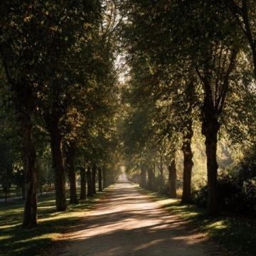 夏季戶外徒步推薦:多條林蔭遮陽路線等你探索