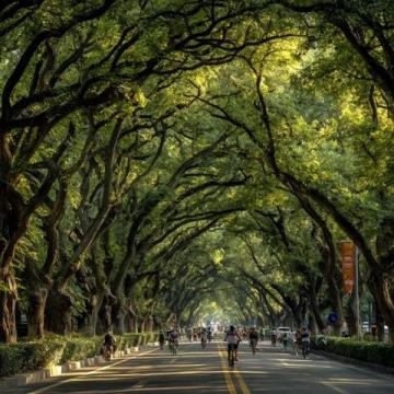 徐州網紅城市名副其實,但你是否曾經想過