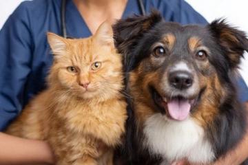 史上最全！養寵人必看的寵物護理手冊！